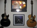 Gregg Allman Signature Series Washburn Acoustic Guitars