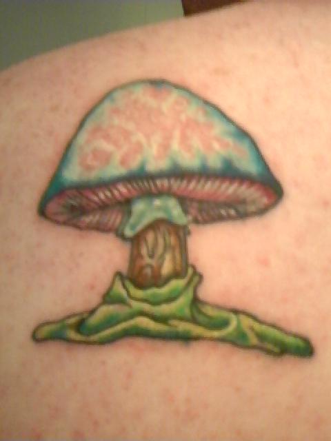 Recent tattoo of Dreams mushroom on left shoulder. 