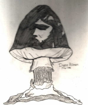 Sketch of Duane's Shadow in the Famous Mushroom